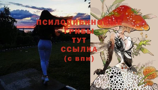 mix Алексеевка