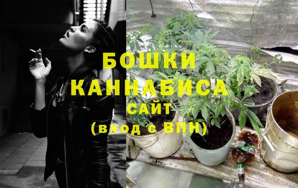 крисы Снежногорск